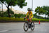 article.image.alt