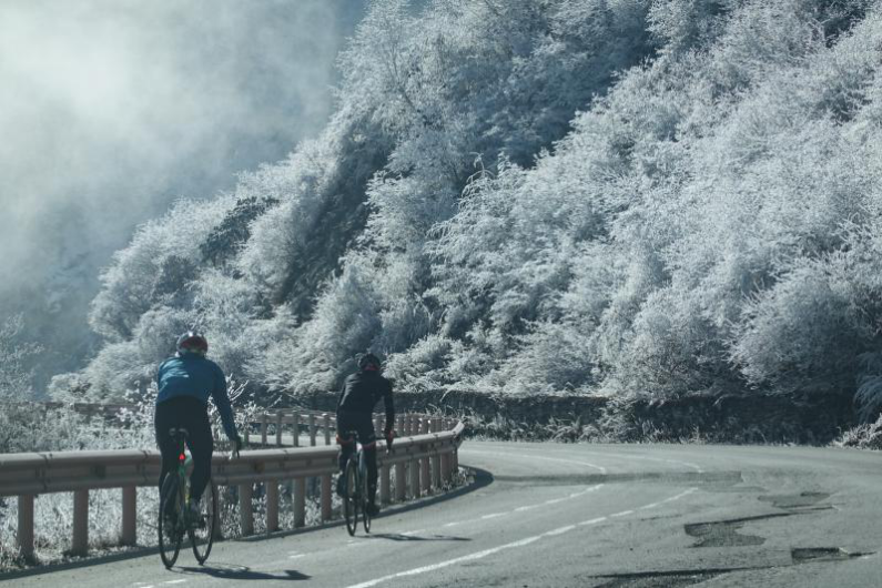 Wahoo冬季室內騎行產品及訓練建議