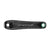 CAMPAGNOLO FC: CHORUS UT CARBON 12S 牙盤 170 MM