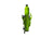 Forbidden Druid (Float DPX2 後避震) AM 碳纖維山地車架 綠色